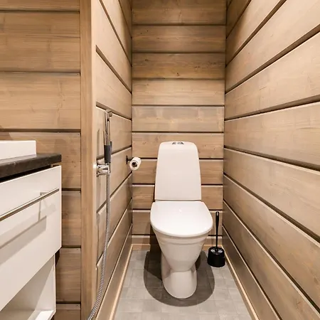 Kinos B Visit * Levi