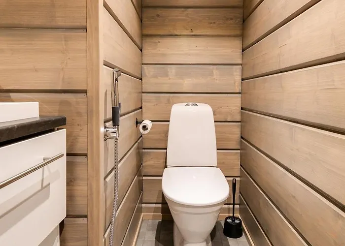 Kinos B Visit * Levi